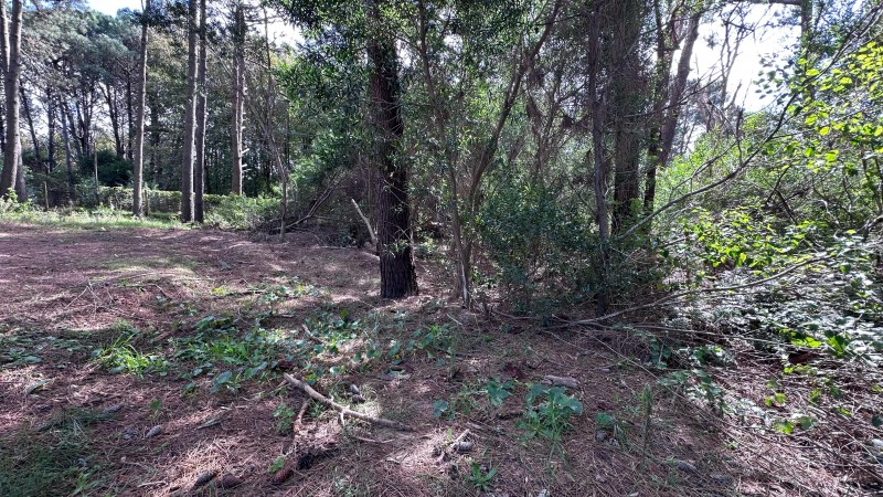 Lote en venta en La Reserva de Montoya
